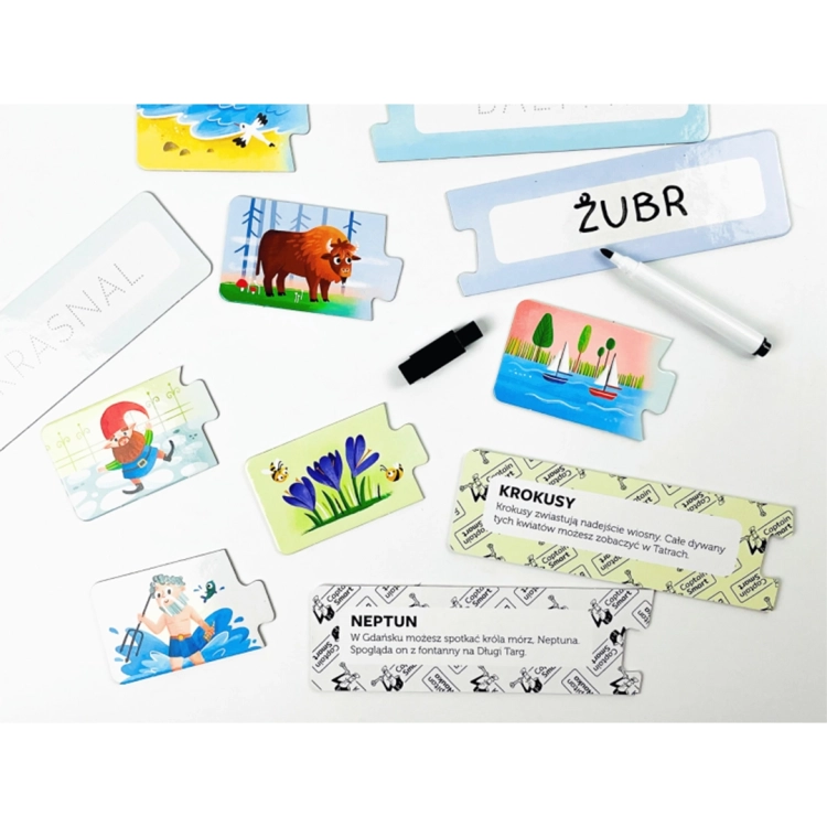 Rozrzucone elementy zestawu: ilustracje żubra, krasnala, Neptuna i krokusów oraz puzzle z nazwami i opisami ciekawostek o Polsce.