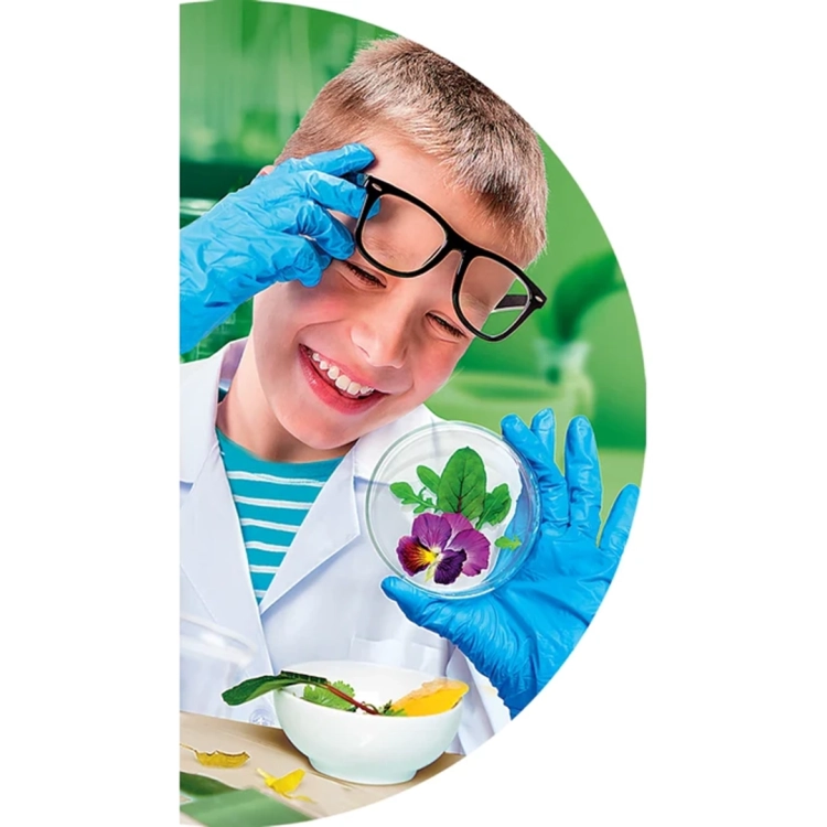 Dziecko w niebieskich rękawiczkach ochronnych i okularach trzyma szalkę Petriego z kwiatem bratka, przeprowadzając domowy eksperyment przyrodniczy.