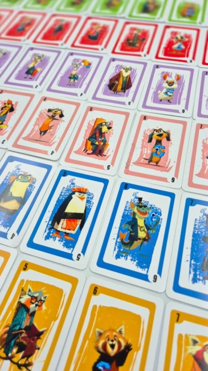 Zbliżenie na rzędy kolorowych kart rozłożonych na stole. Karty mają obramowania w kolorach zielonym, czerwonym, fioletowym, różowym, niebieskim i żółtym, przedstawiając różne zwierzęta.