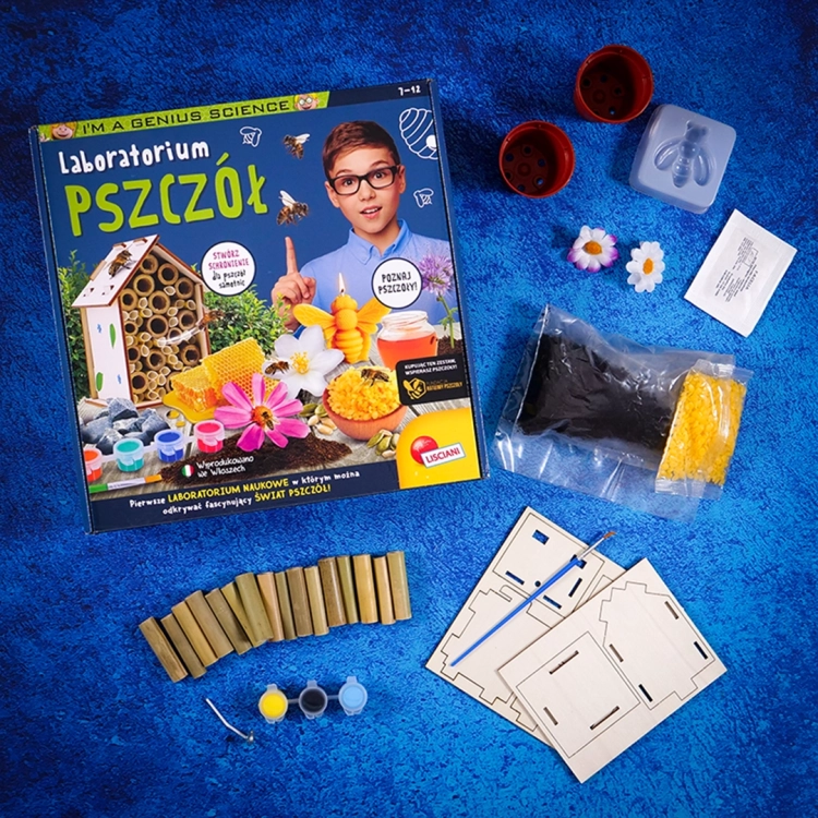 Elementy zestawu edukacyjnego Laboratorium pszczół