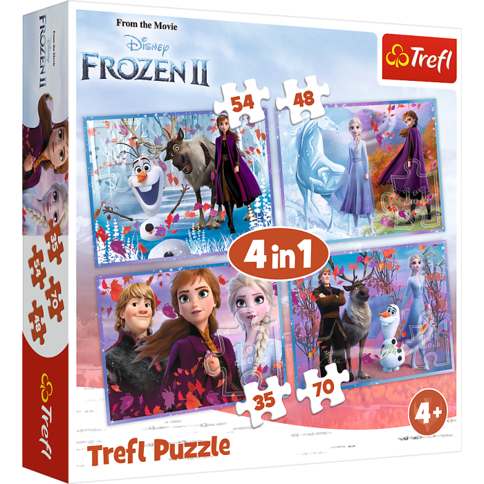 34323_frozen puzzle 4w1.png