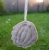 DSCF6496.JPG