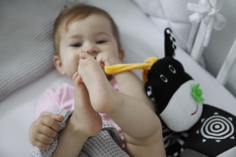 Króweczka książeczka sensoryczna to kontrastowa zabawka dla niemowląt