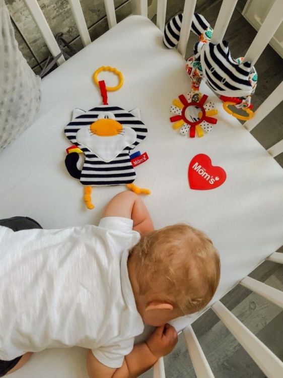 Kot Pasiak szeleszczący Mom’s Care