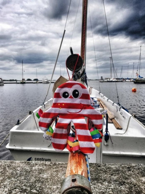 Ośmiornica sensoryczna z szeleszczącymi mackami dla niemowlaka