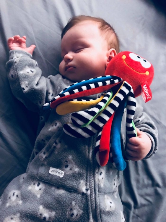 Mini Ośmiornica Czerwona to nie tylko urocza przytulanka