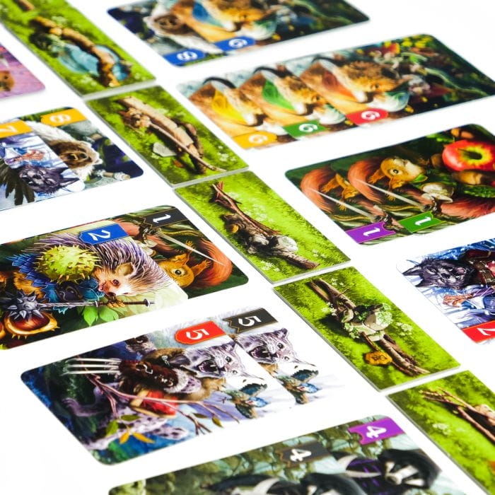 spór o bór gra kaciana (3).jpg