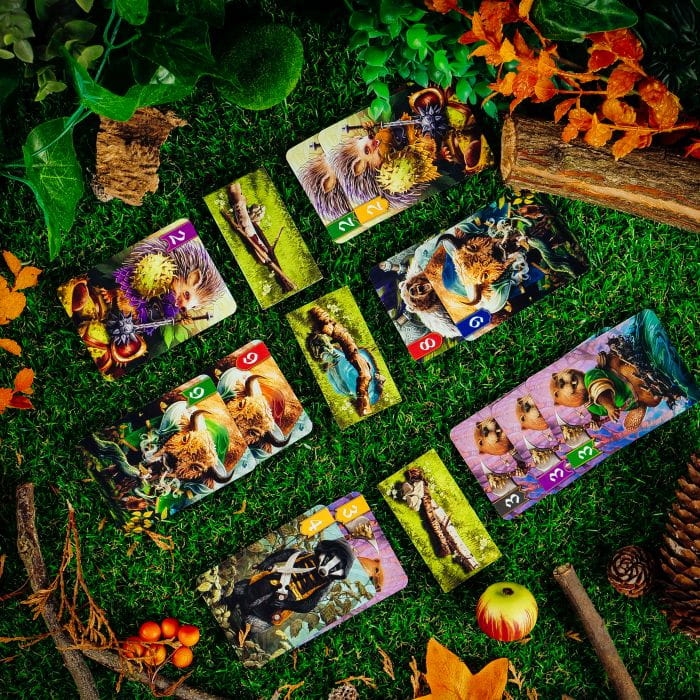 spór o bór gra kaciana (7).jpg