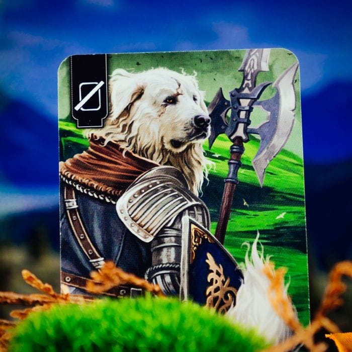 spór o bór gra kaciana (8).jpg