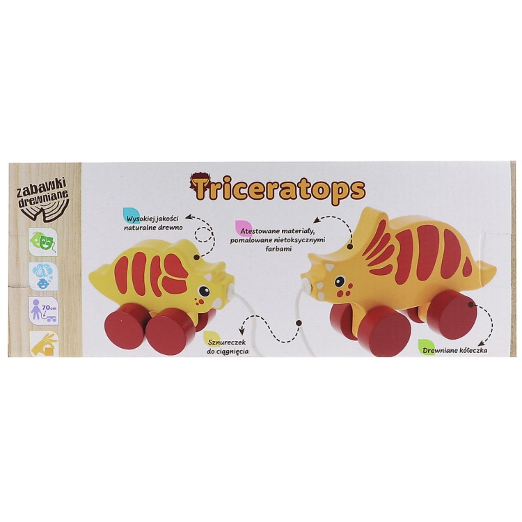 pudełko na zestaw 2 dinozaurów