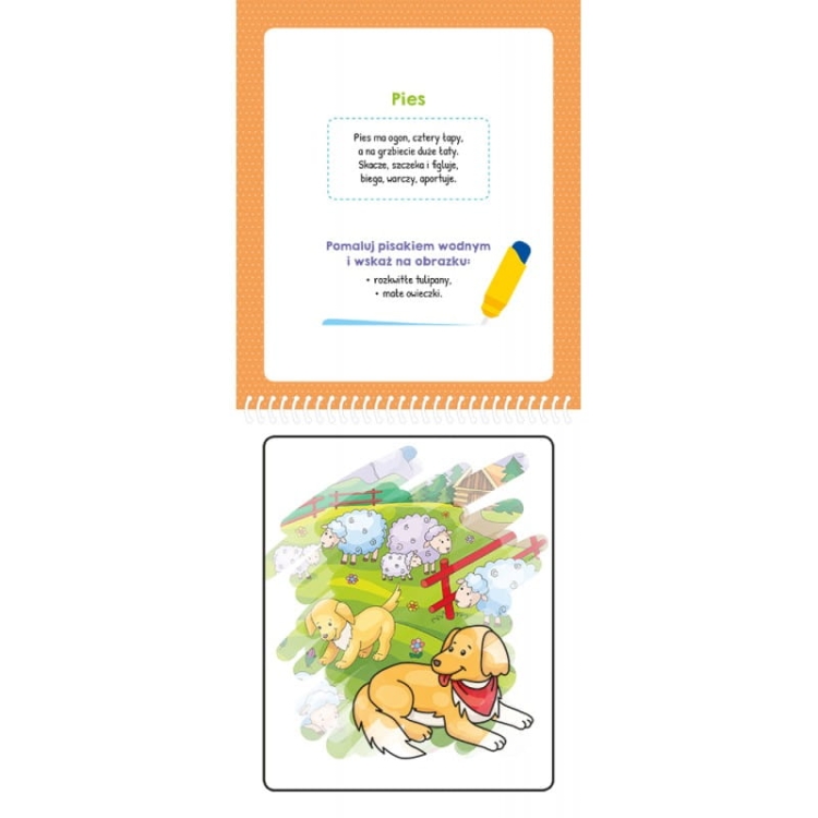 malowanka-z-pisakiem-wodnym-zwierzaki (1).jpg