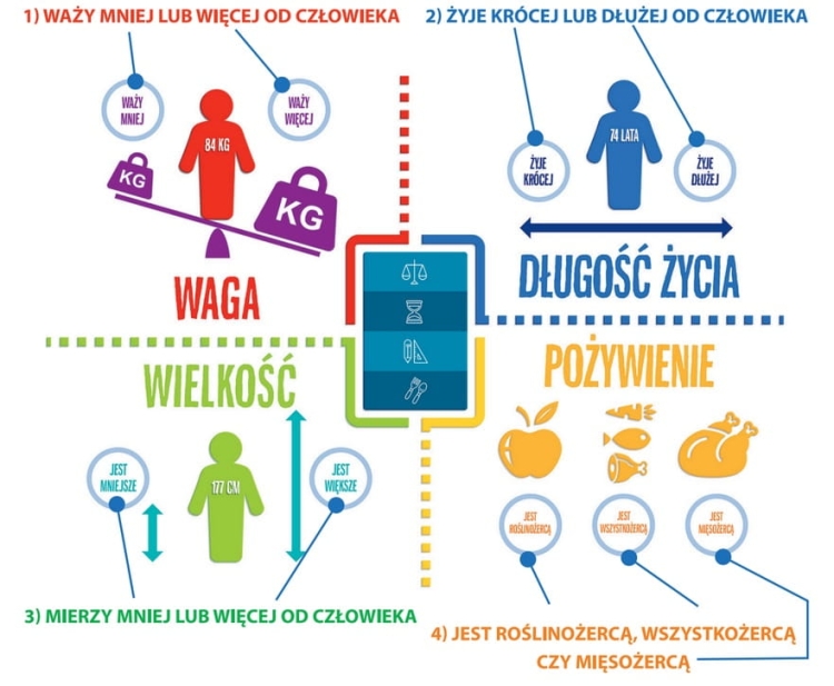 Na tropie gra planszowa dla dzieci