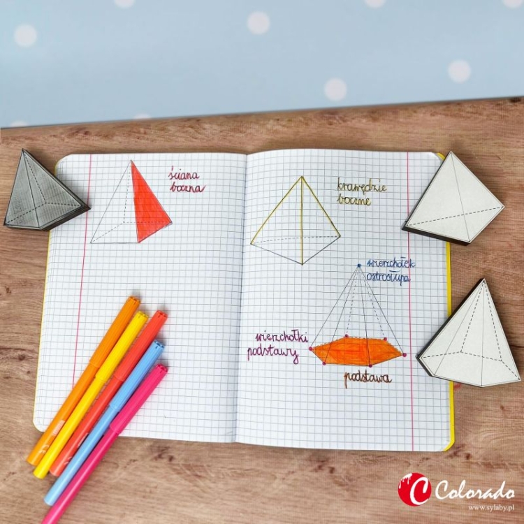 STEMPLE  - OSTROSŁUPY 3.jpg