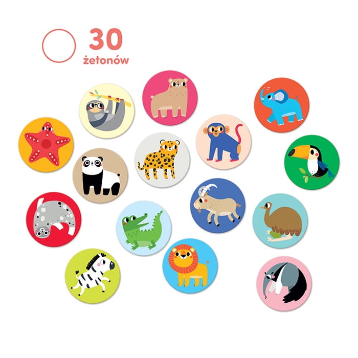 gra edukacyjna Memo dzikie zwierzęta karty z obrazkami