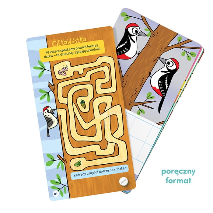 fantastyczne-gry-logiczne-ksiazeczka-dla-dzieci-3-czuczu-eco-zabawki (6).jpg