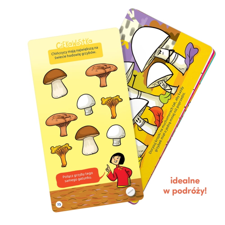 Edukacyjne łamigłówki CzuCzu Fantastyczne gry logiczne 5+ – zadania i zagadki