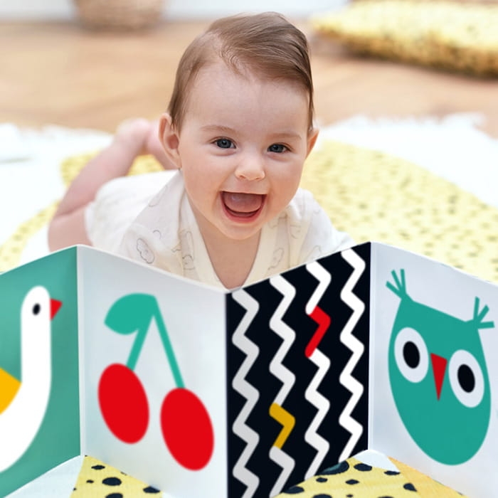 CzuCzu Starter Malucha Co widzę? – pierwsze zabawy edukacyjne