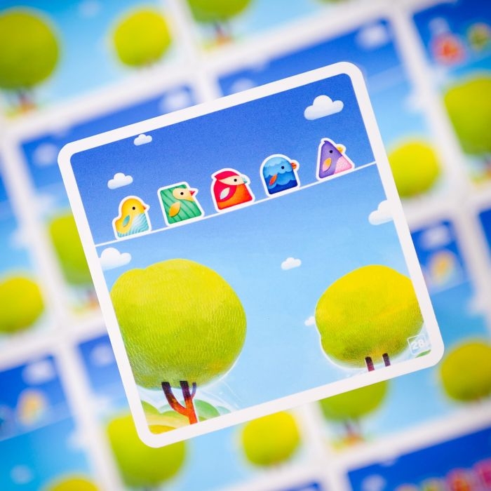 ptaki 60 zagadek (3).jpg