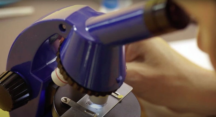 K9992 Mikroskop odkrywcy kosmos (6).jpg