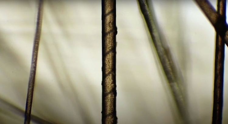 K9992 Mikroskop odkrywcy kosmos (7).jpg