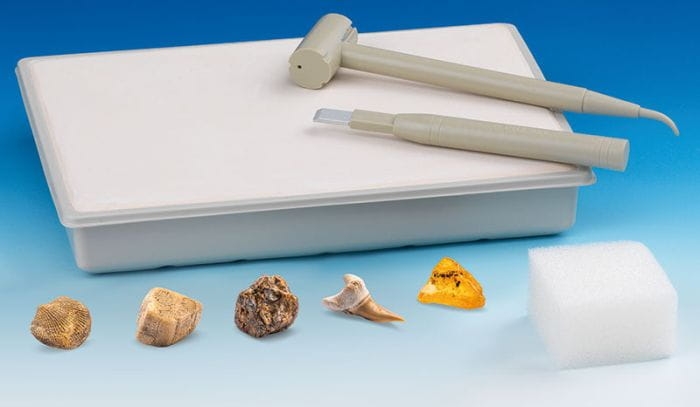 K1043 kosmos skamieliny (2).jpg