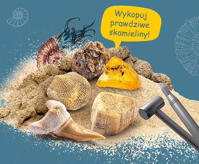 K1043 kosmos skamieliny (3).jpg