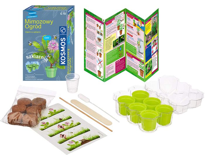 K2033 mimozowy ogród kosmos (2).jpg