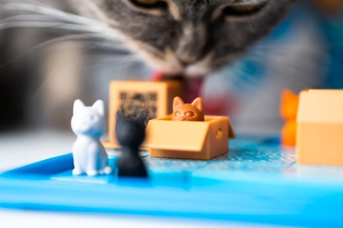 Kotelki (PL) IUVI Games (2).jpg