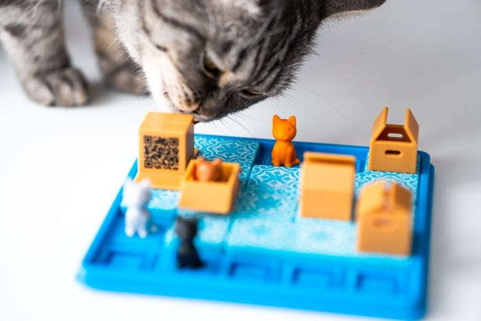 Kotelki (PL) IUVI Games (9).jpg