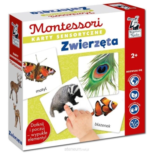 Karty sensoryczne Zwierzęta Kapitan Nauka Montessori dla dzieci 2+