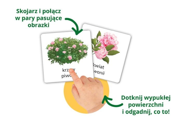 Karty Przyroda Kapitan Nauka wspierające rozwój sensoryczny i poznawczy