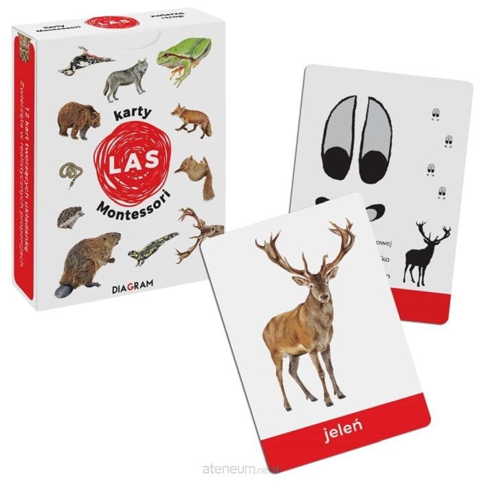 476954 karty montessori las.jpg