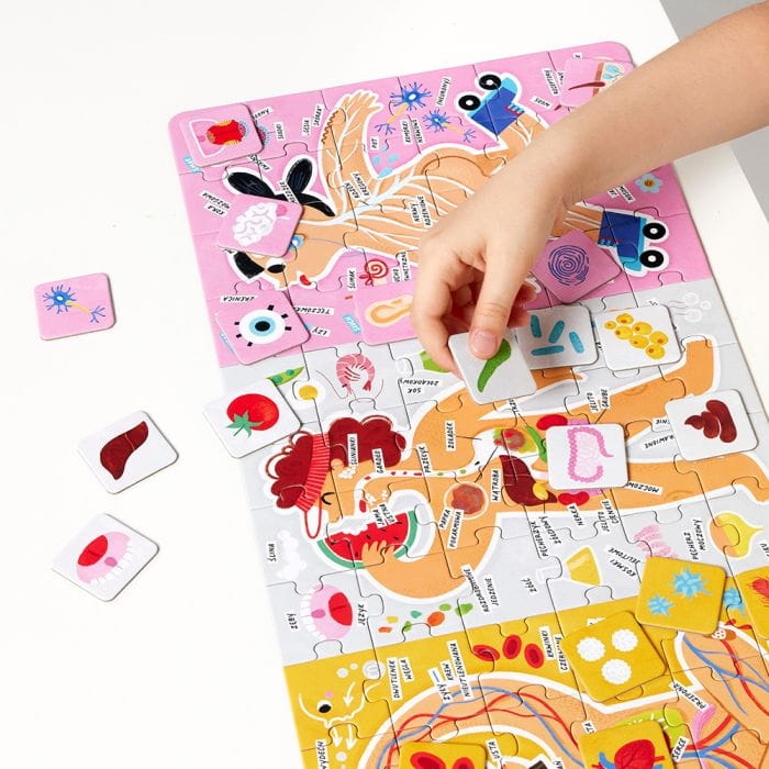 Puzzle dla dzieci o ciele człowieka – zestaw edukacyjny CzuCzu