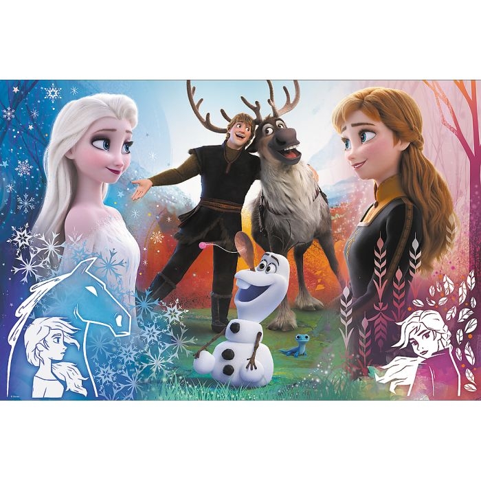 23006 Puzzle 300 Magiczny czas Frozen (2).jpg