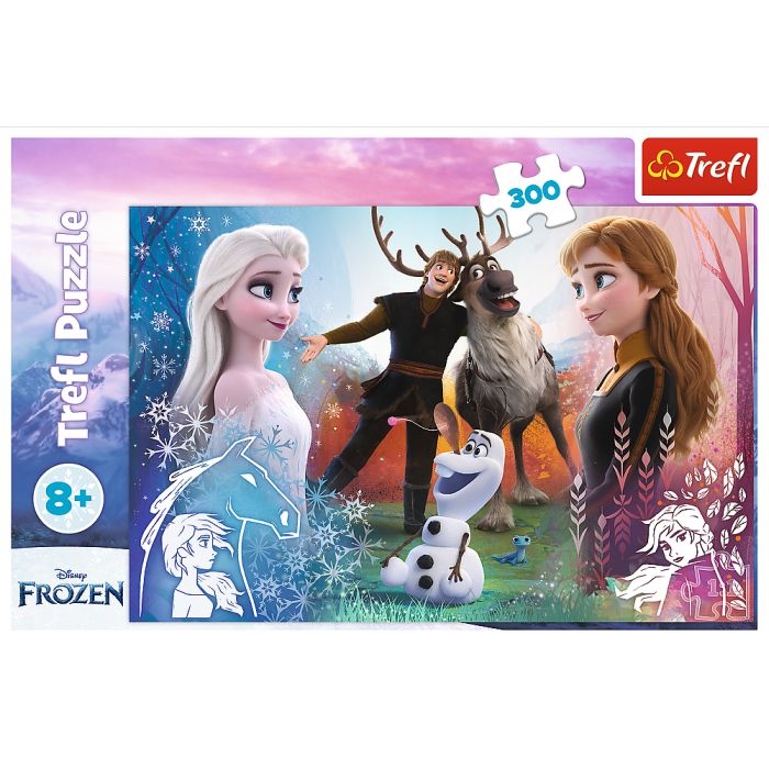 23006 Puzzle 300 Magiczny czas Frozen (3).jpg