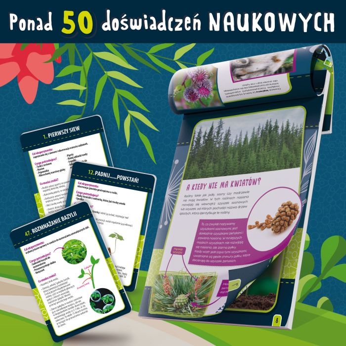 Lisciani botanika Nauka w domu (4).jpg