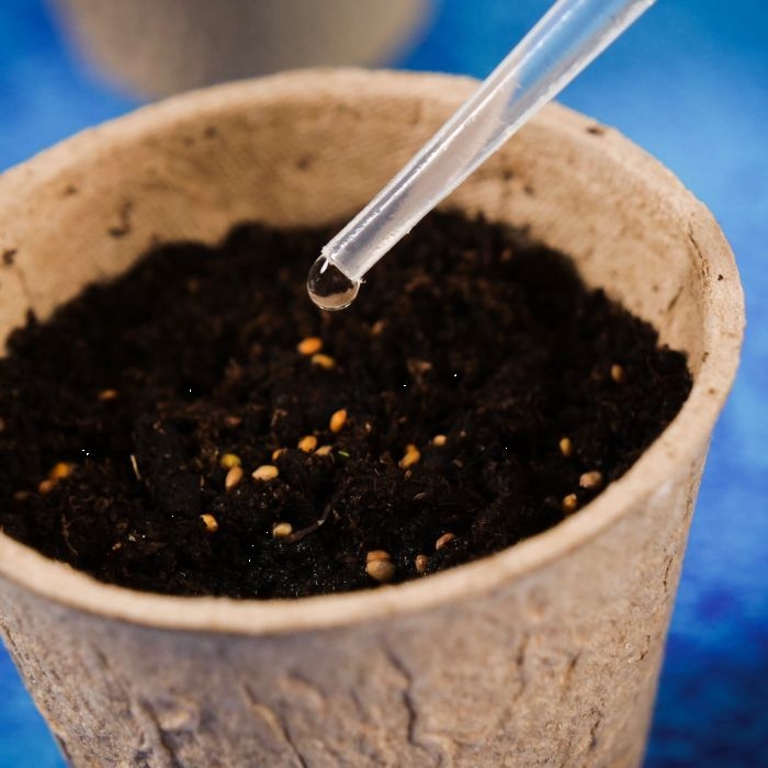 Lisciani botanika Nauka w domu (6).jpg