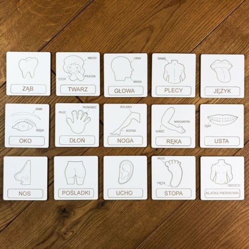 Układanka tematyczna części ciała (1).jpg