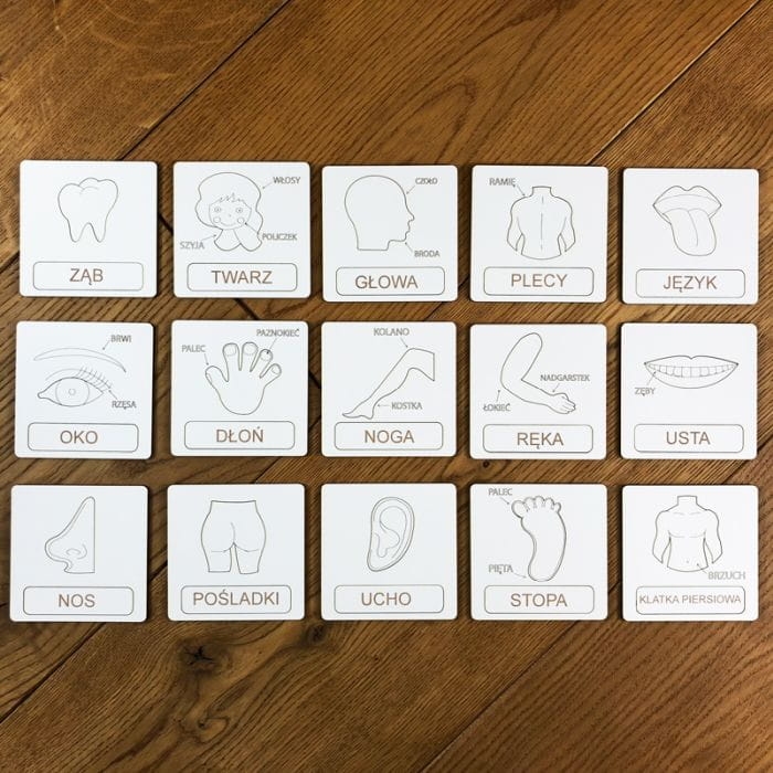 Układanka tematyczna części ciała (1).jpg