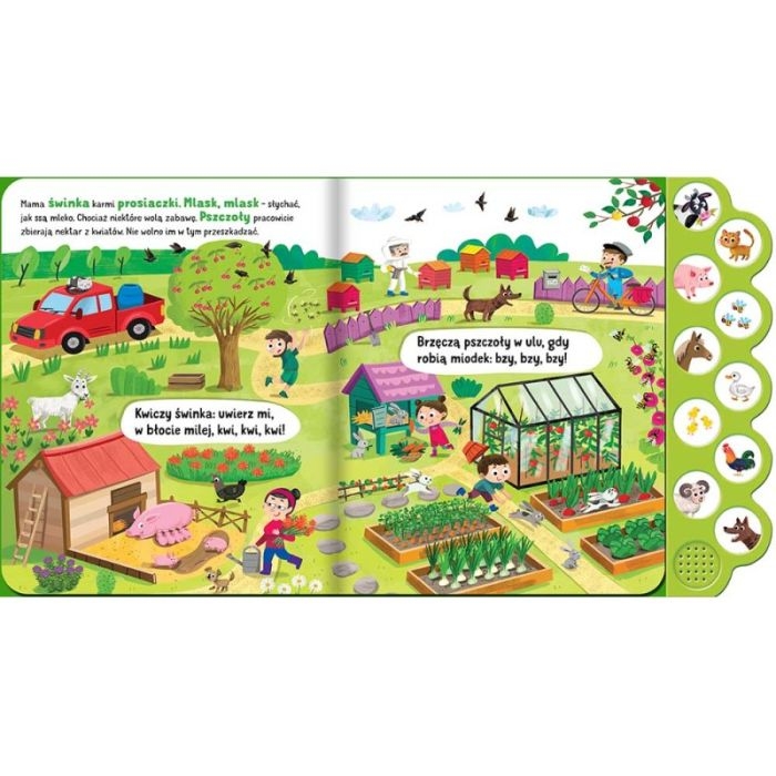 co-slychac-na-wsi-ksiazka-dzwiekowa-z-10-przyciskami (1).jpg