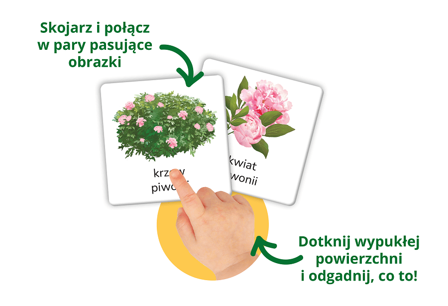 Zestaw Montessori Przyroda Tu i Tam z kartami sensorycznymi na białym tle.