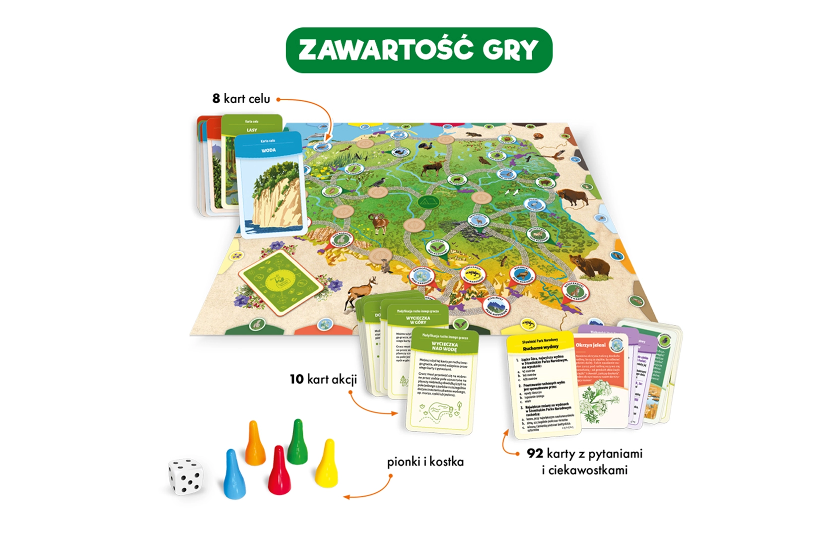 Ilustracja rozgrywki na planszy Polska Przyroda z elementami gry.
